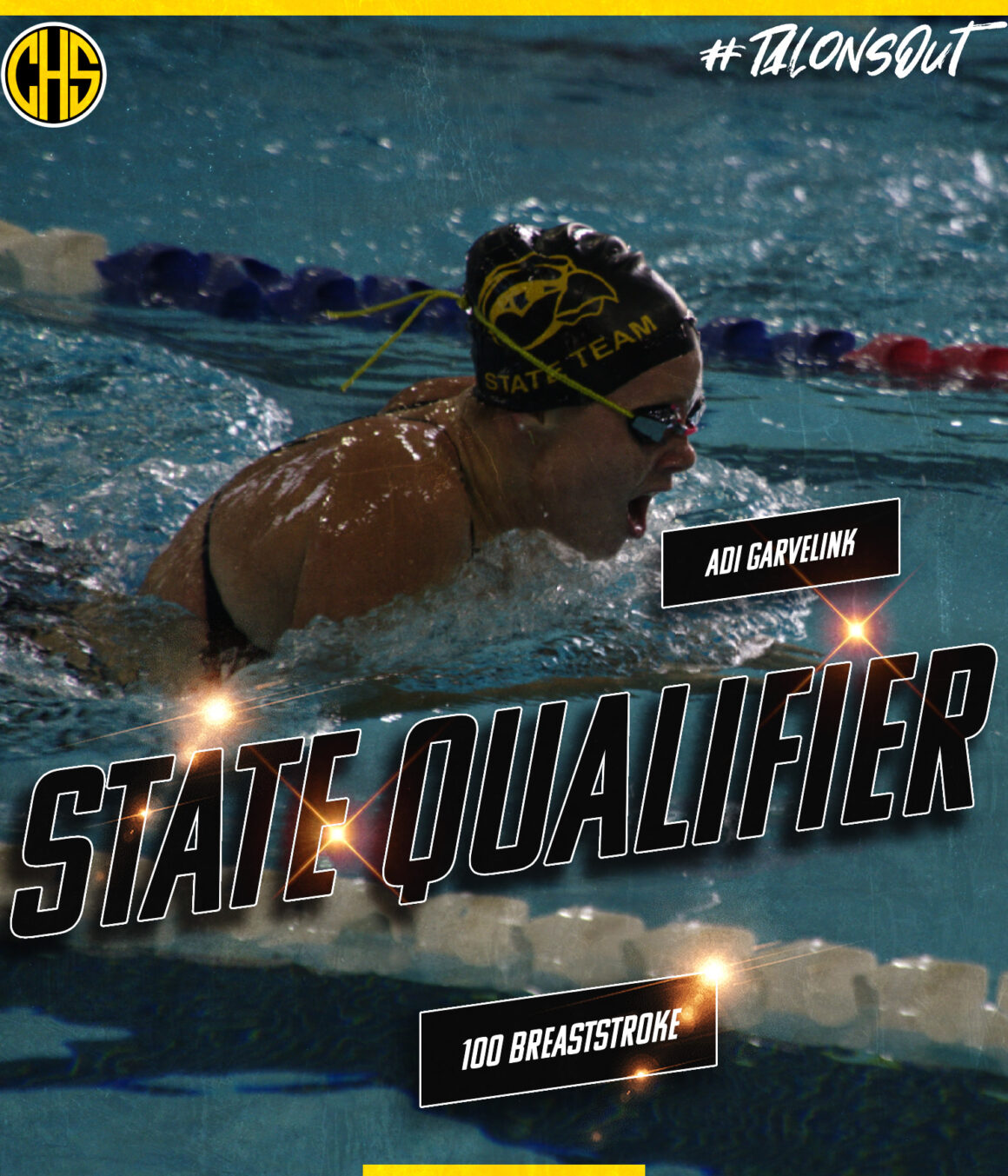 ADI GARVELINK INDIVIDUAL STATE QUALIFIER
