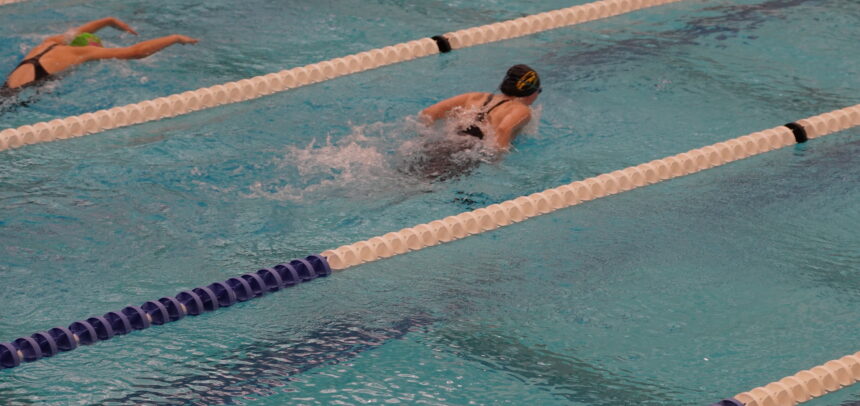 Girls Swim and Dive Gallery