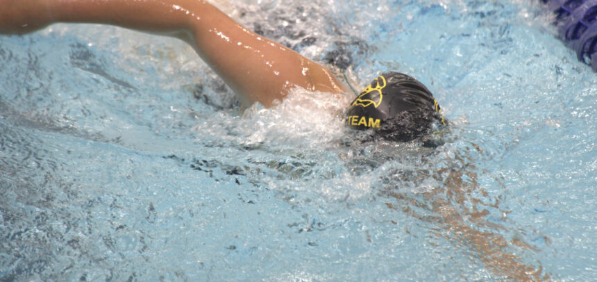 Girls Swim and Dive Gallery