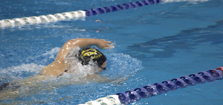 Girls Swim and Dive Gallery