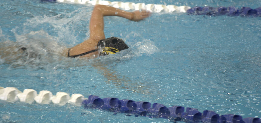Girls Swim and Dive Gallery