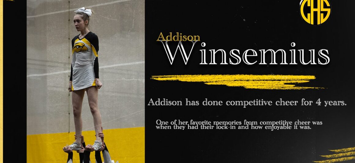 Introducing Addison Winsemius