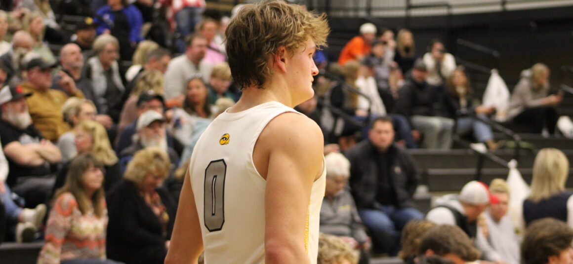 The Bounce Back: A Tale of Grit, Determination, and Redemption on the Basketball Court