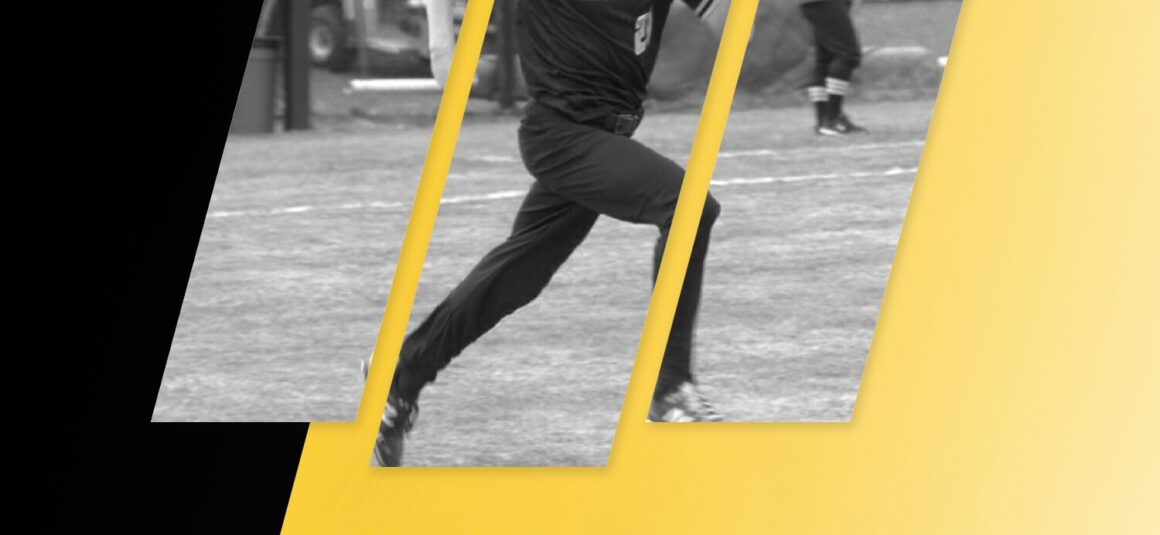 Baseball Hawkies: Best Moment