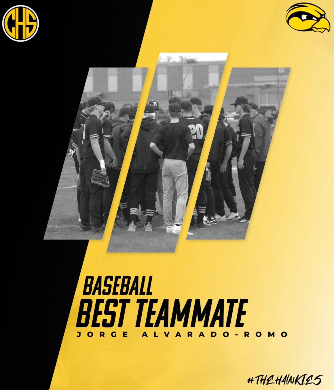 Baseball Hawkies: Best Teammate