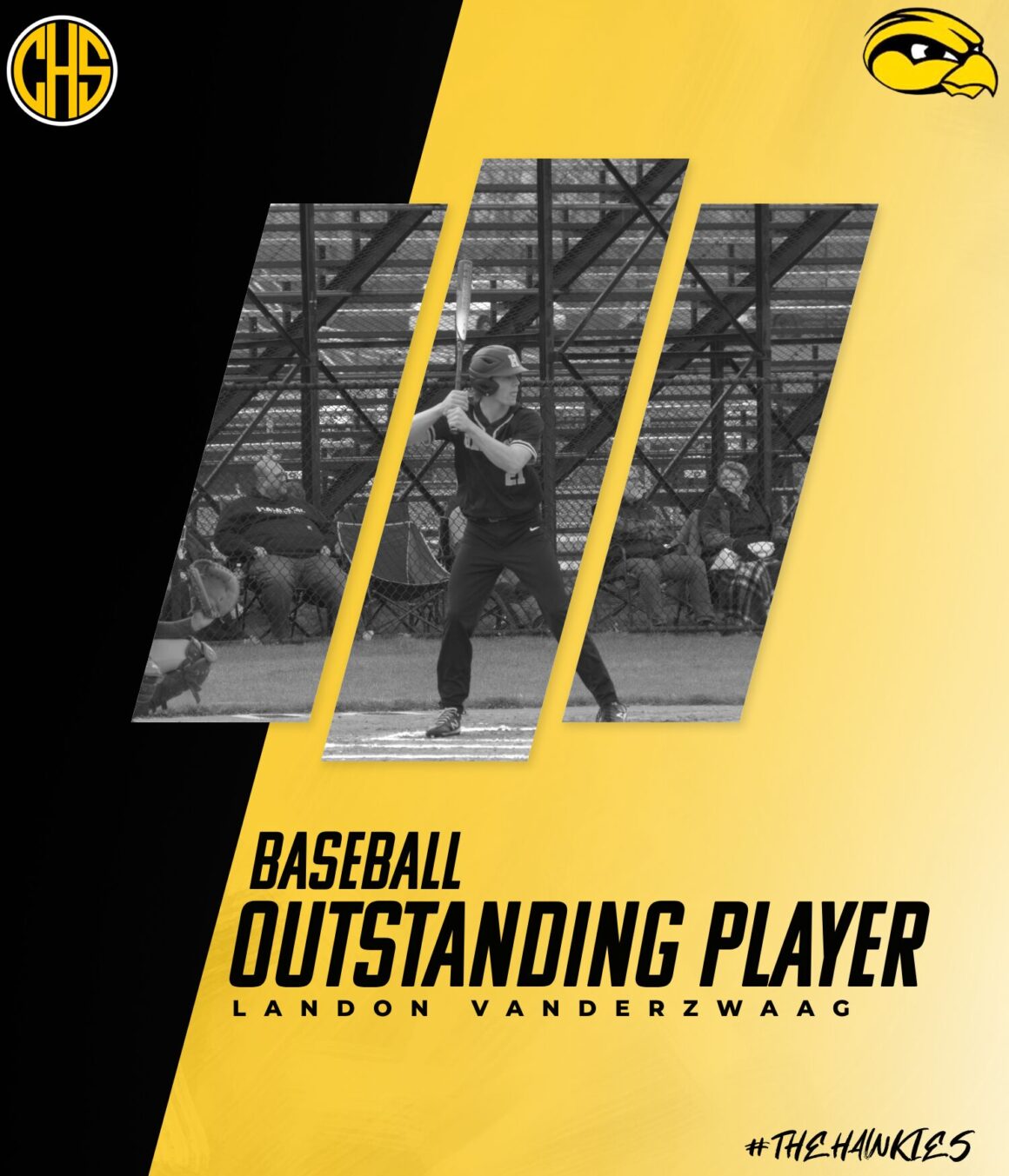 Baseball Hawkies: Outstanding Player