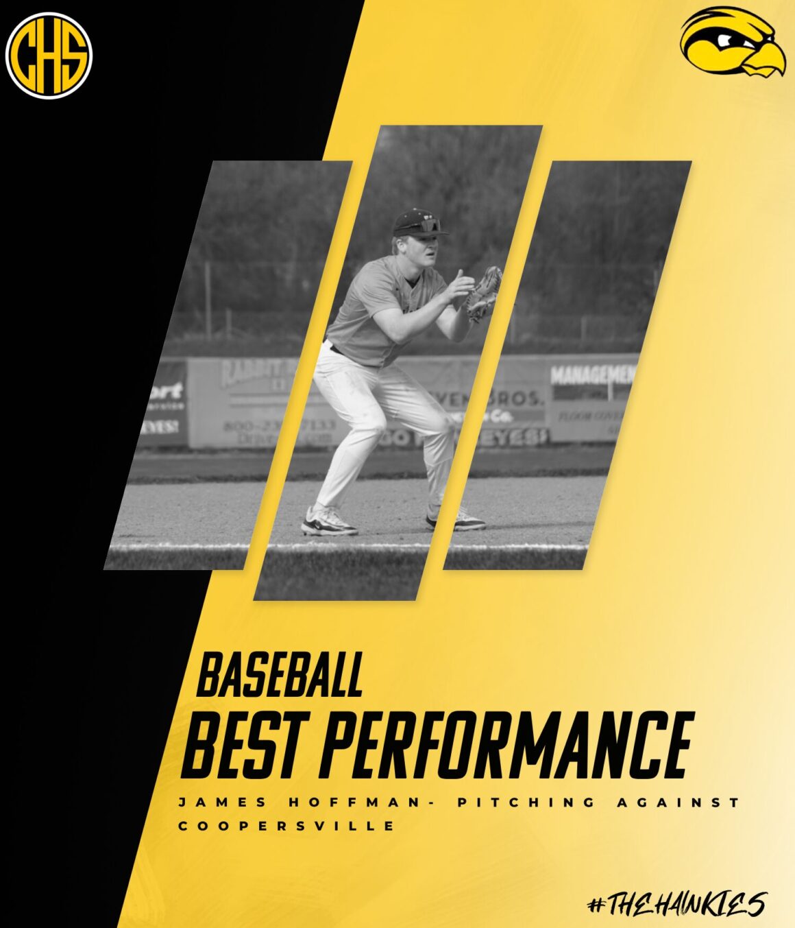 Baseball Hawkies: Best Performance