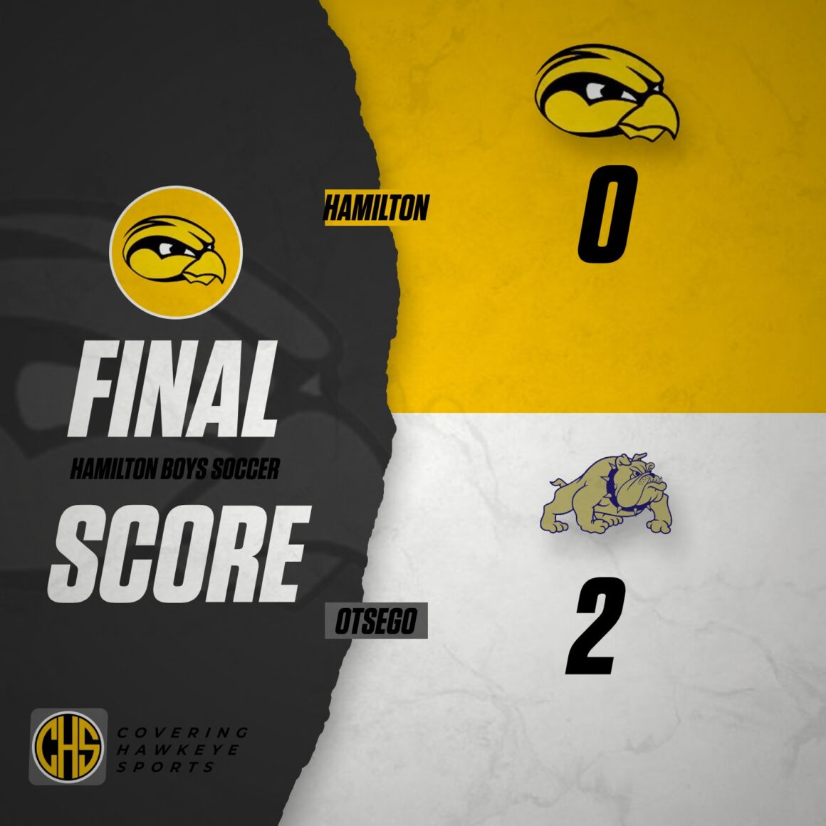Boys Soccer Falls Short To Otsego