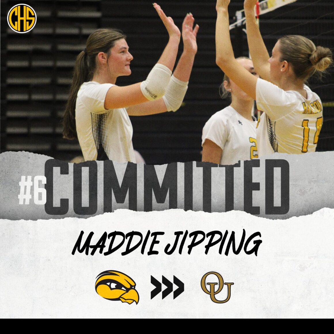 Maddie Jipping Commited To Oakland