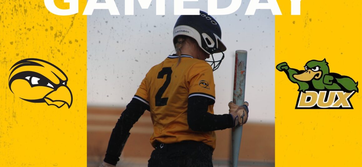 Almost Gameday For Softball