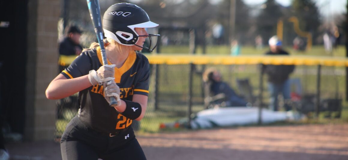Behind the Bat- Lexi Mersman