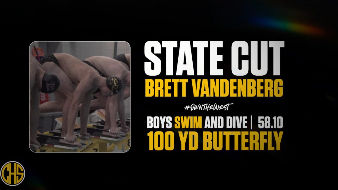 Brett Vandenberg : State Cut