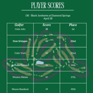 Boys Golf Player Scores
