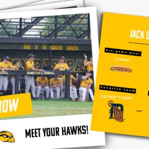 Baseball: Get To Know You