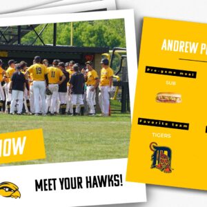 Baseball: Get To Know You