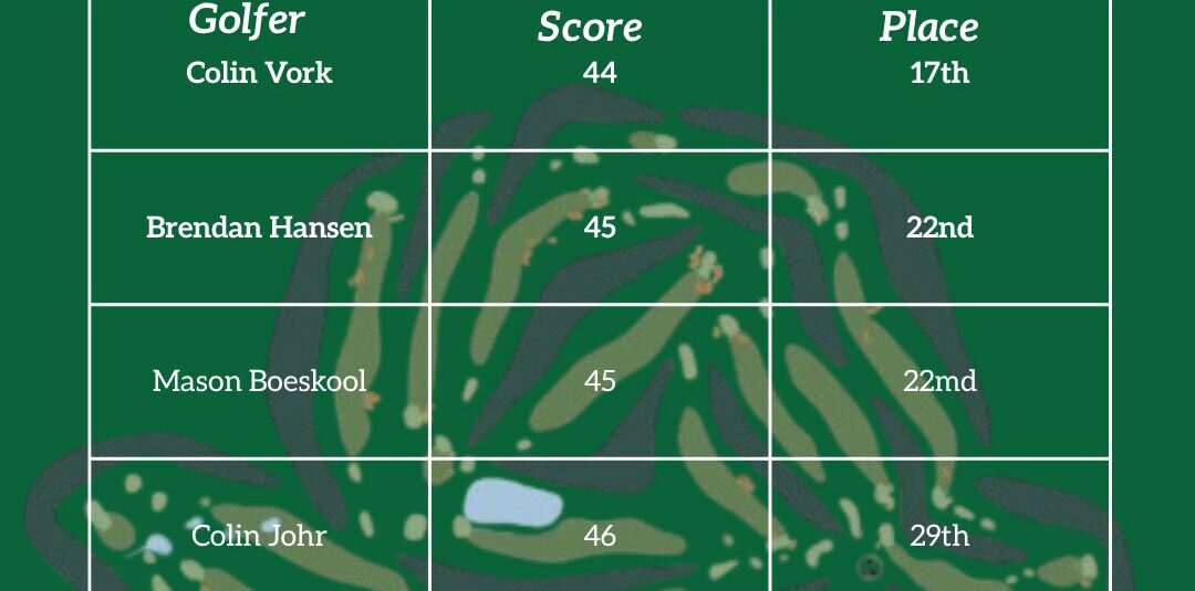 Boys Golf Player Scores