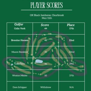 Boys Golf Player Scores